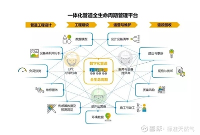 我们需要一个“这样”的国家油气管网公司