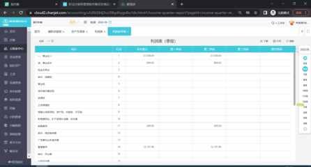 工程咨询公司财务软件